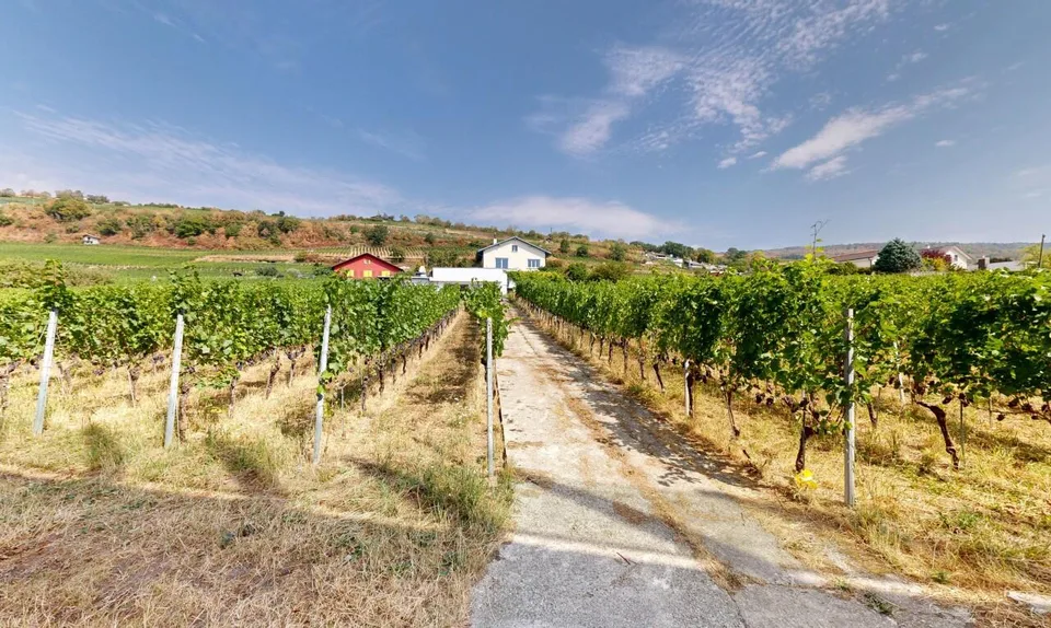 Maison 5.5p au Landeron avec vignes et fort potentiel