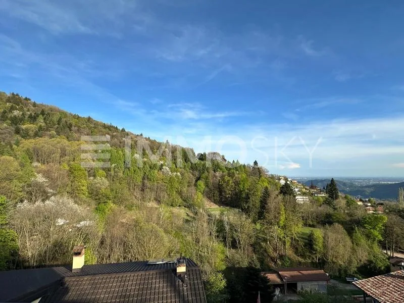 Luce, spazio e natura