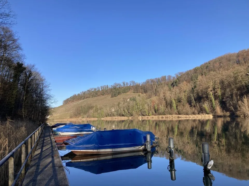 Helle 4½-Zimmerwohnung mit schöner Aussicht auf den Rhein