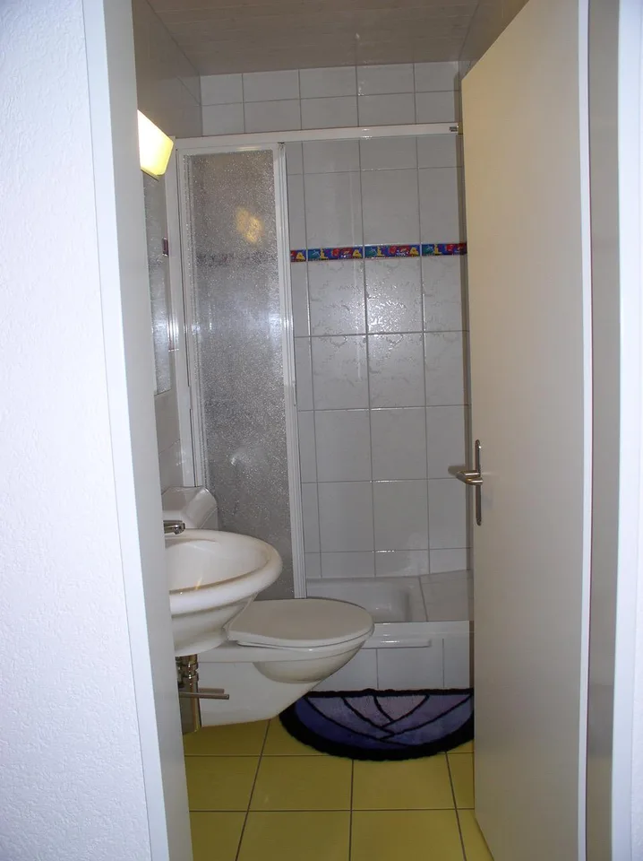 4-Zimmer Dachwohnung