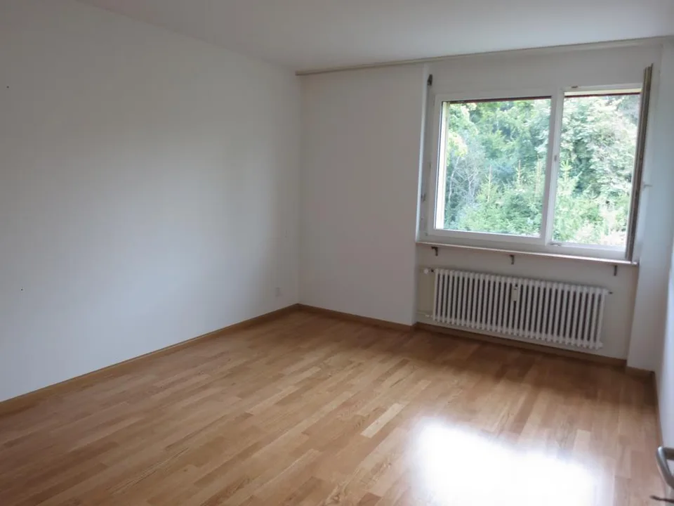 Schöne 3.5-Zimmerwohnung in der Nähe des Hardwaldes