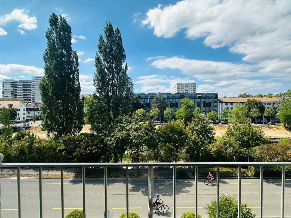 Wohnen mit Blick auf die Birs - attraktive Wohnung in Birsfelden
