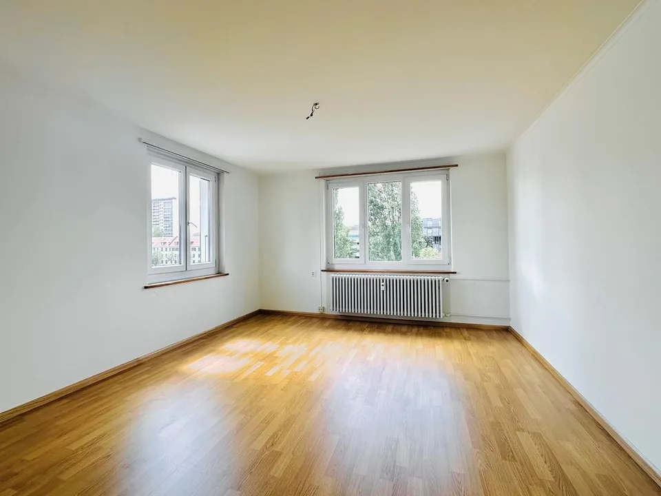 Wohnen mit Blick auf die Birs - attraktive Wohnung in Birsfelden