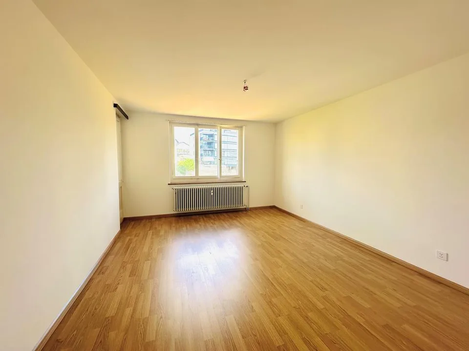 Wohnen mit Blick auf die Birs - attraktive Wohnung in Birsfelden