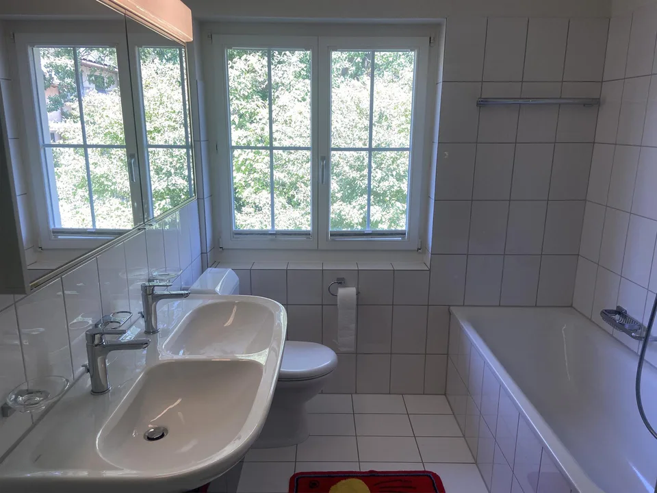 einseitig angebautes Einfamilienhaus mit separatem Garagengebäude