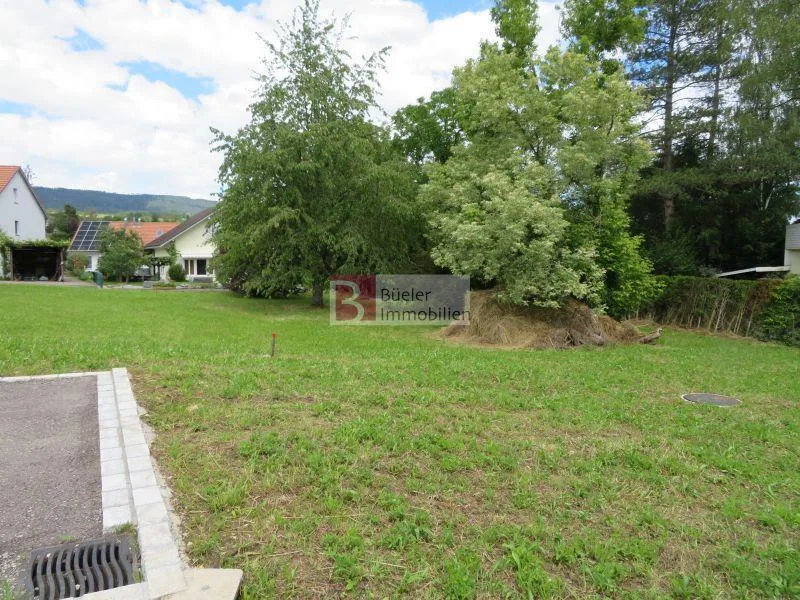 Bauland ohne Architekturverpflichtung