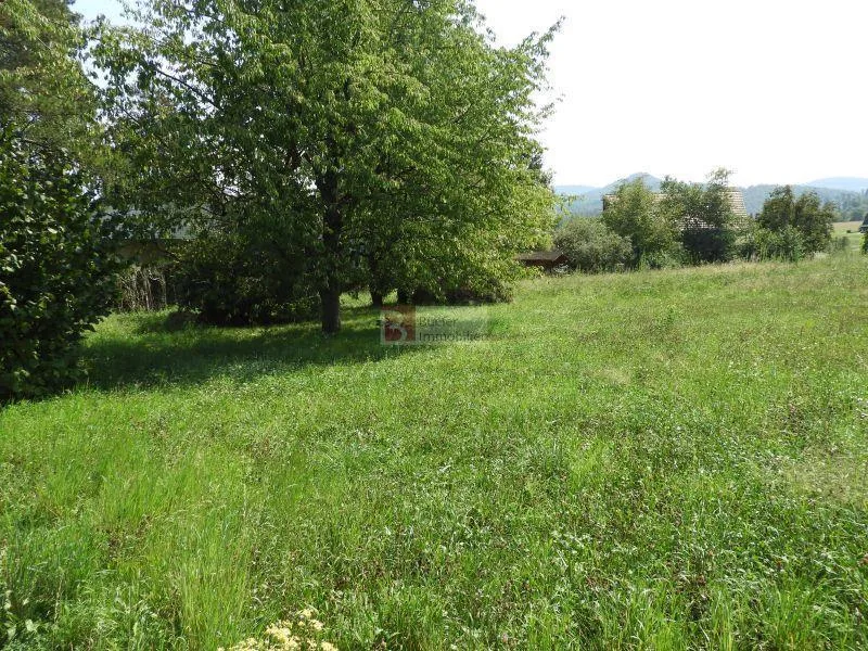 Bauland ohne Architekturverpflichtung