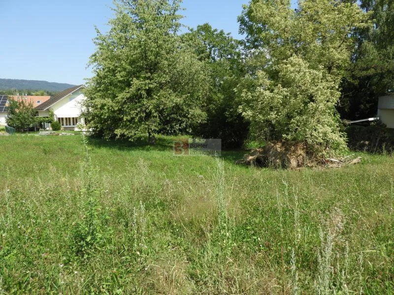 Bauland ohne Architekturverpflichtung