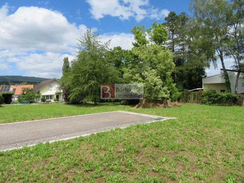 Bauland ohne Architekturverpflichtung
