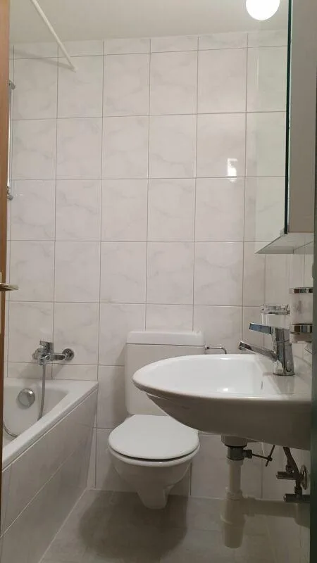 Gemütliche Wohnung sucht Single!