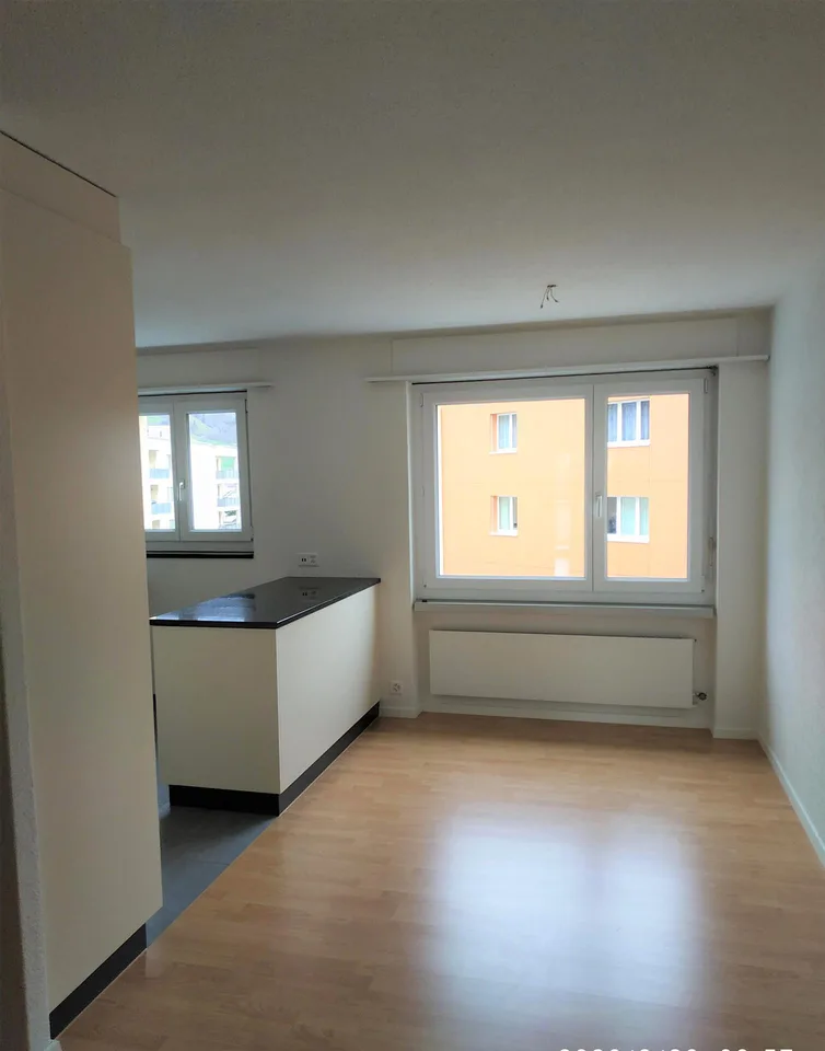 3.5-Zimmerwohnung am Dorfrand von Arth – umfassend saniert