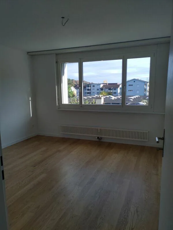 Renovierte Wohnung mit Sicht auf den Pilatus