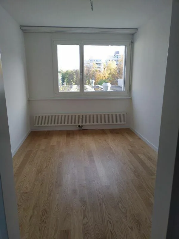 Renovierte Wohnung mit Sicht auf den Pilatus