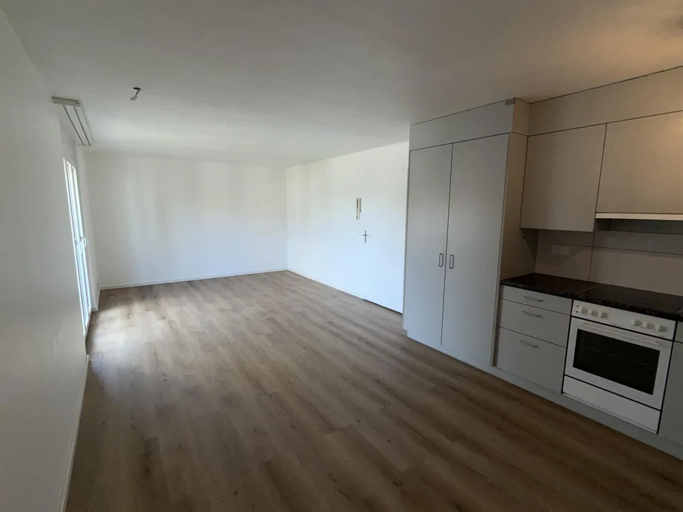 Gemütliche 1.0 Zimmer Wohnung!