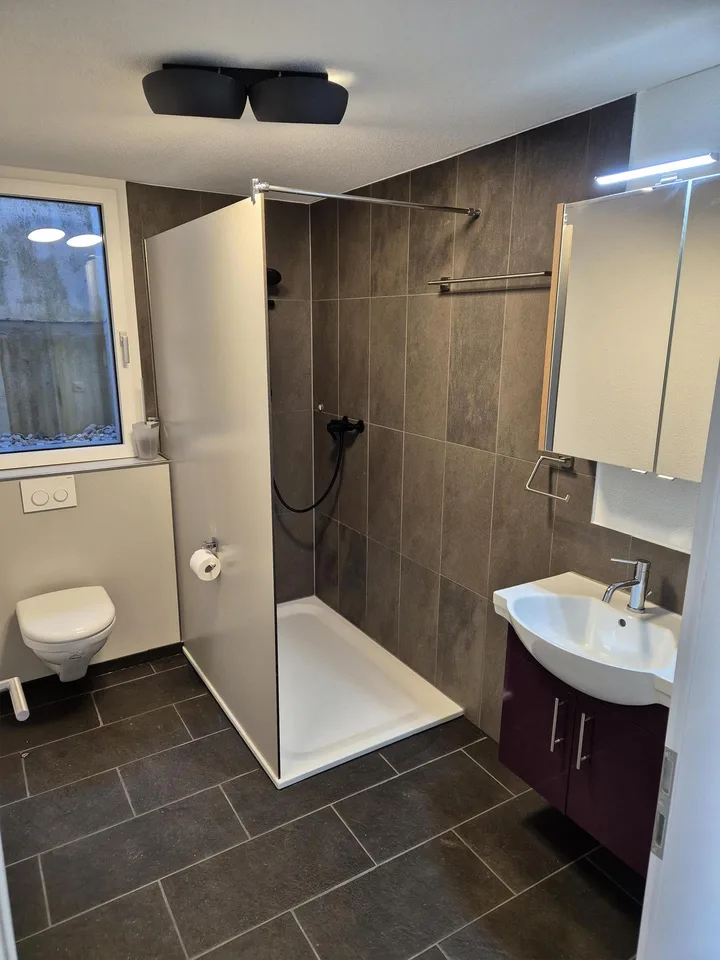 Single Wohnung in Wauwil zu vermieten