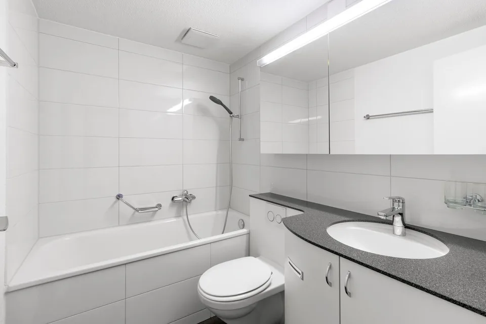 1.5-room apartment with sunny balcony and green views