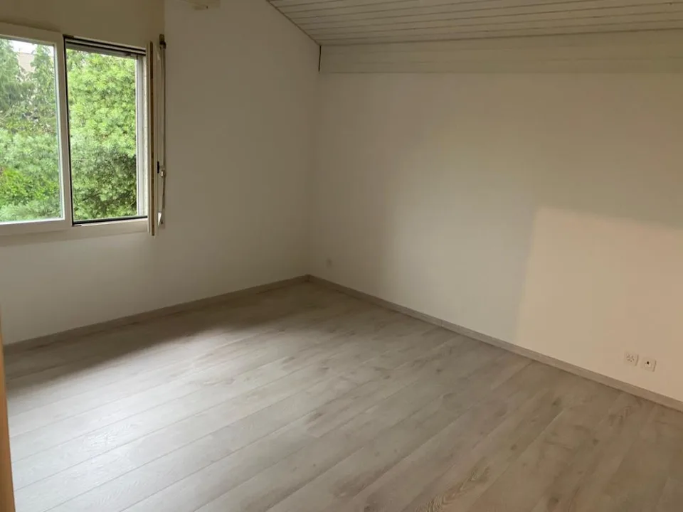 Geräumige Attikawohnung - greifen Sie zu!