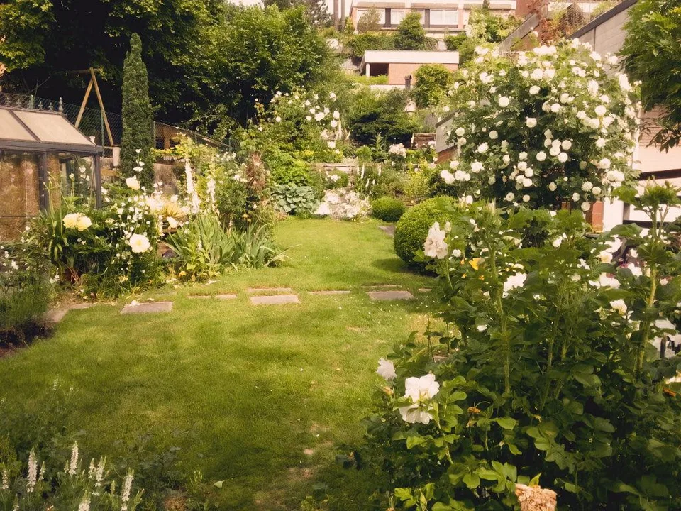 Der Traum vom Terrassenhaus mit grosser Gartenanlage in Bern