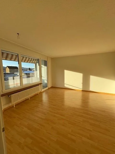 Heimelige 3-Zimmerwohnung in Reinach