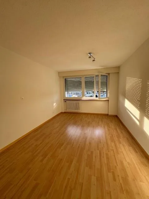 Heimelige 3-Zimmerwohnung in Reinach
