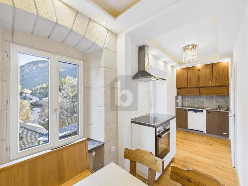 Appartement charmant rénové avec beau poêle en pierre mouchetée