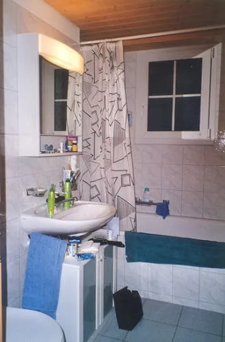 3 Zimmer Wohnung