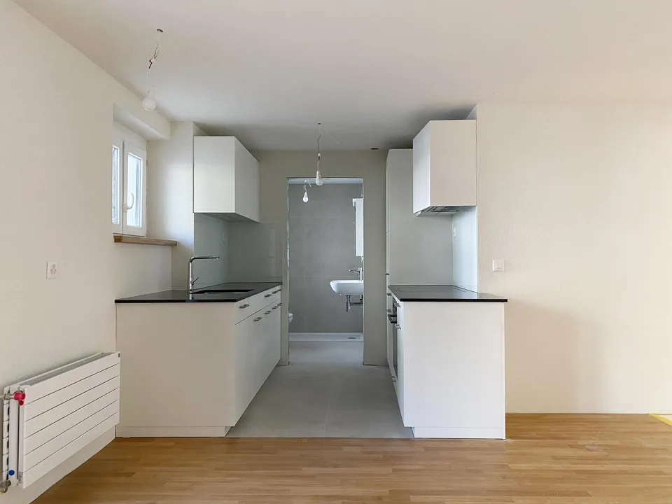 Premier occupation après rénovation complète, appartement 1 pièce moderne