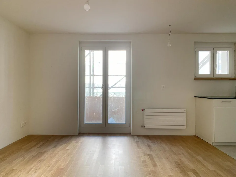 Premier occupation après rénovation complète, appartement 1 pièce moderne