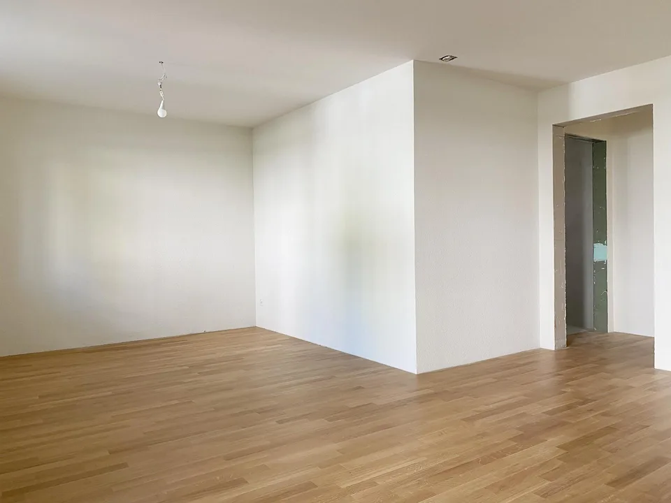 Primo affitto dopo ristrutturazione completa, appartamento 2.5 locali moderno