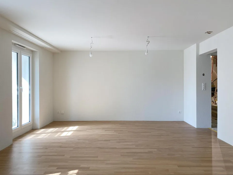 Primo affitto dopo ristrutturazione completa, appartamento 2.5 locali moderno