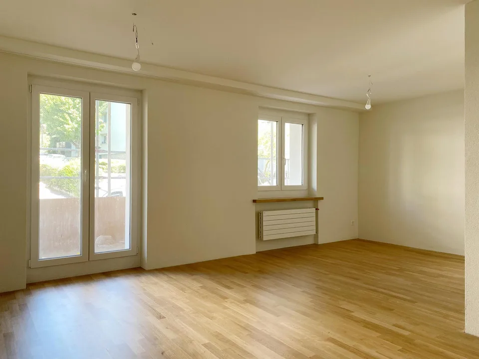 Primo affitto dopo ristrutturazione completa, appartamento 2.5 locali moderno