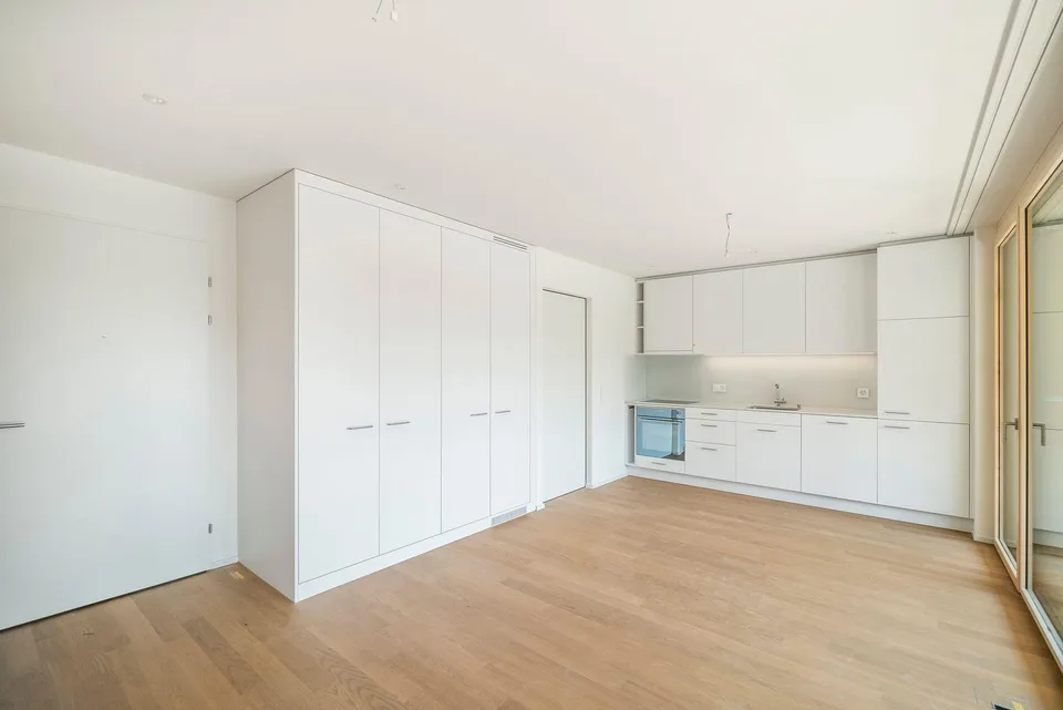 2.5-Room Apartment