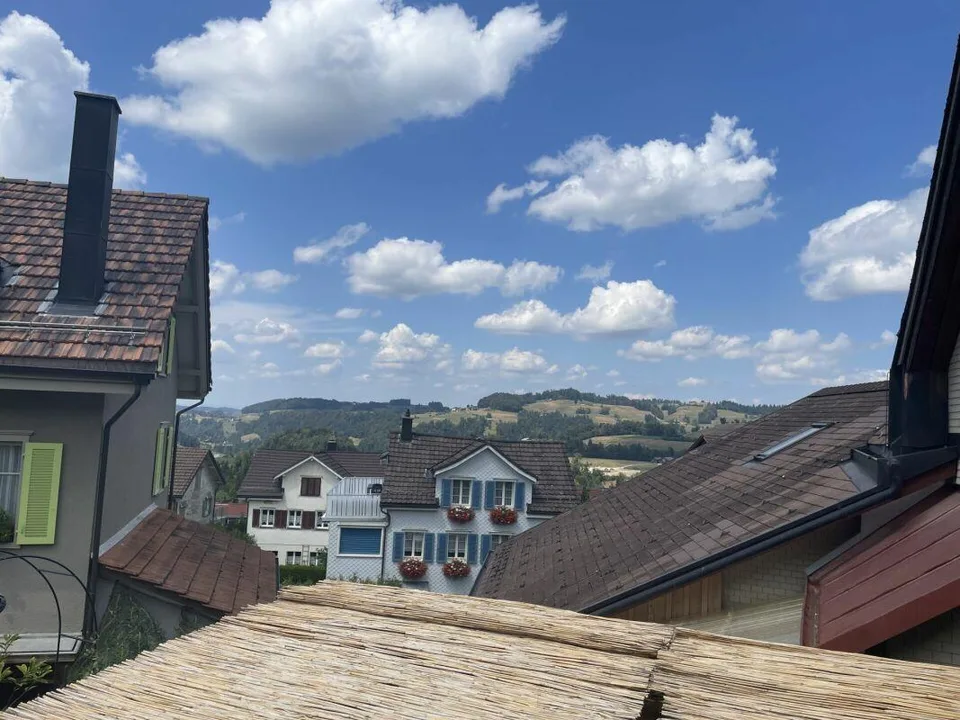 Appartamento di 3½ locali totally ristrutturato e elegante nel centro di Mogelsberg – foto 8 di 8