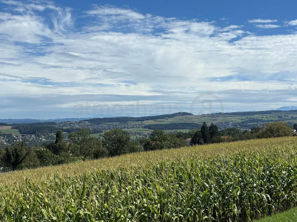 Nur noch 1 EFH verfügbar - Ihr neues Zuhause mit Weitblick im Seetal