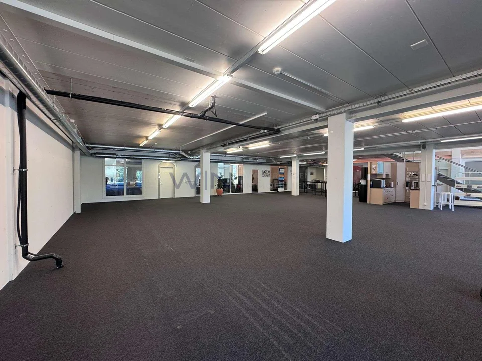 Steuern sparen & durchstarten: Top-Büro + Showroom