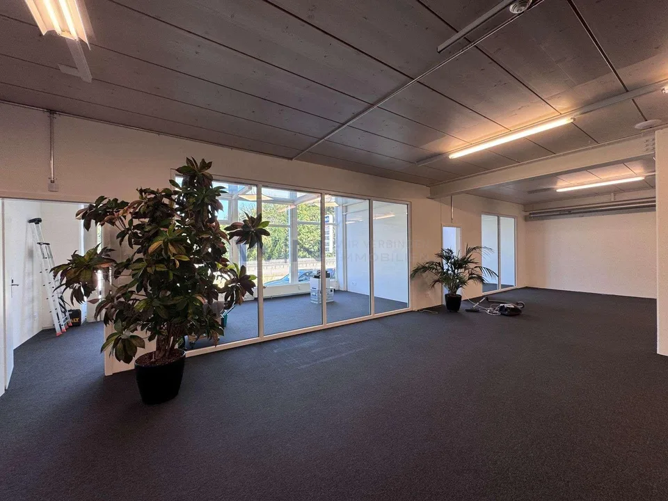 Steuern sparen & durchstarten: Top-Büro + Showroom