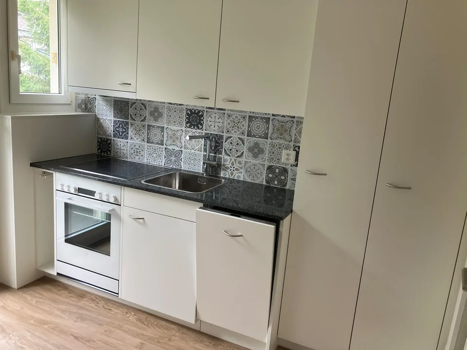 3.5 Zimmer Wohnung im Dachgeschoss