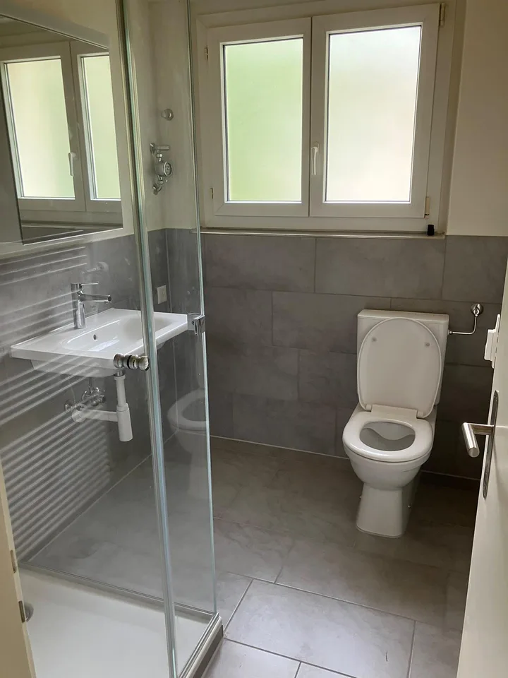 3.5 Zimmer Wohnung im Dachgeschoss