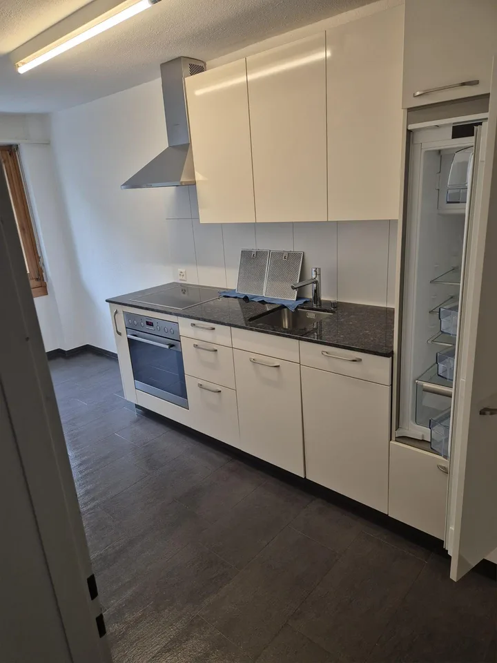 1.5 Zimmer Wohnung