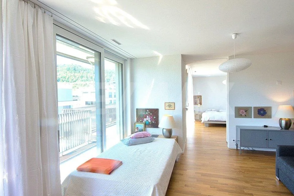 Moderne 2.5-Zimmer-Attika-Wohnung mit grosser Sonnenterrasse und Weitsicht