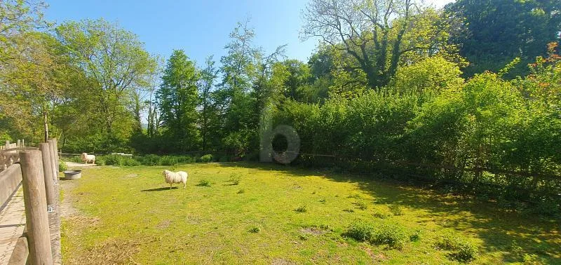 DANS UN ÉCRIN DE NATURE AVEC ECURIES !