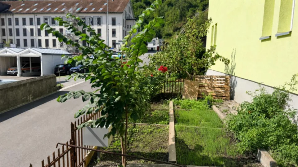 ZWEI 4.5-ZIMMER-HAUSHÄLFTEN - WOHNEN & VERMIETEN IN FLUMS