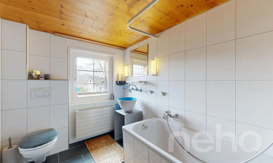 Versatile property with annex apartment in idyllic natural setting