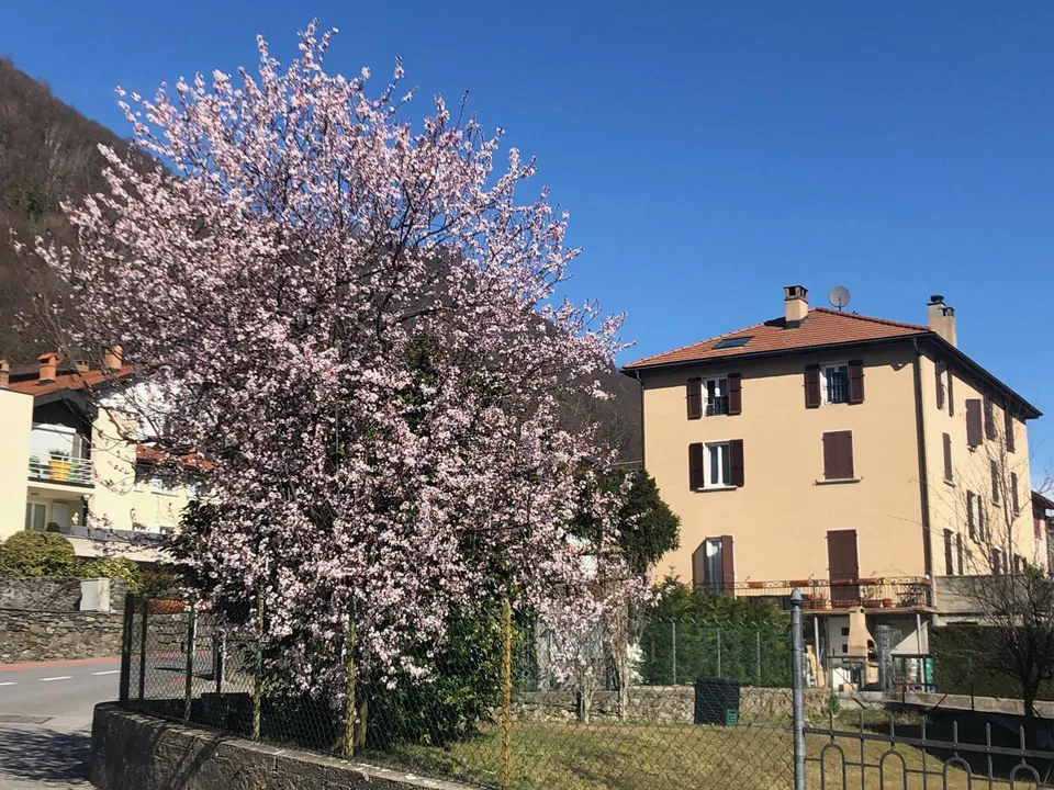 ACCOGLIENTE E LUMINOSO 4.5 LOCALI ALL'ULTIMO PIANO A BEDANO