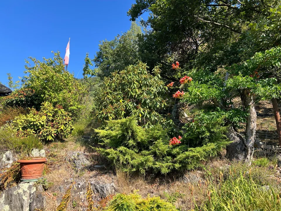 Un refuge dans les montagnes du Tessin – Rustico avec vue imprenable