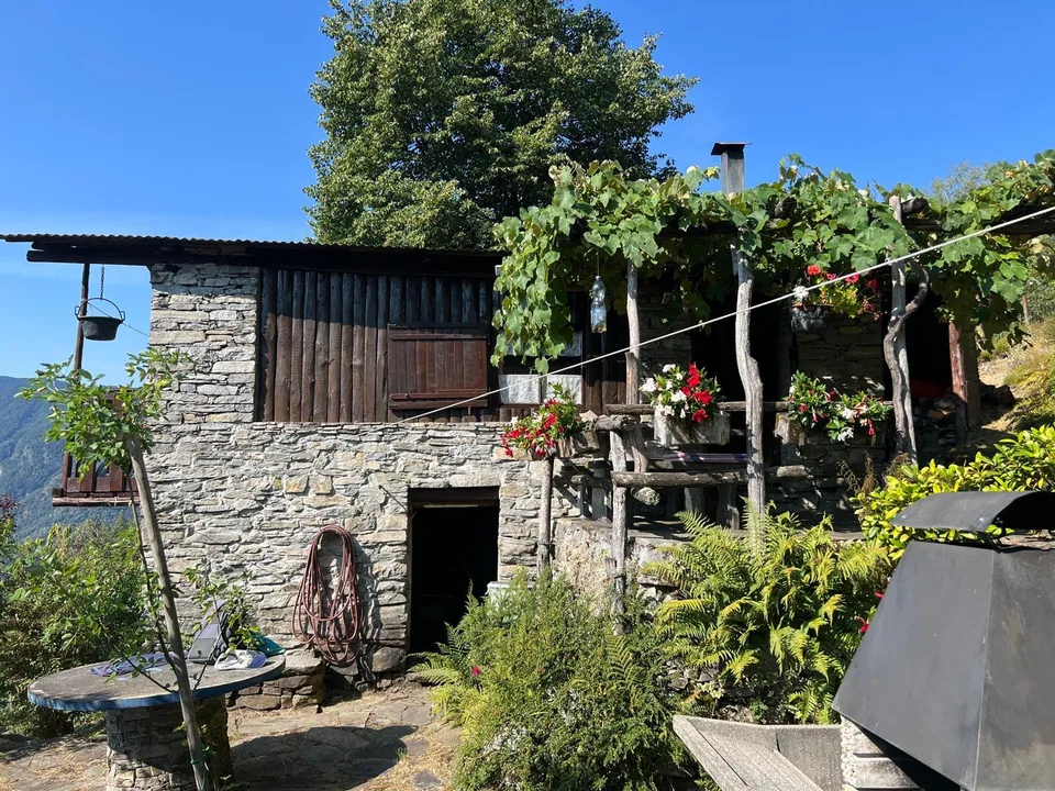 Rustico