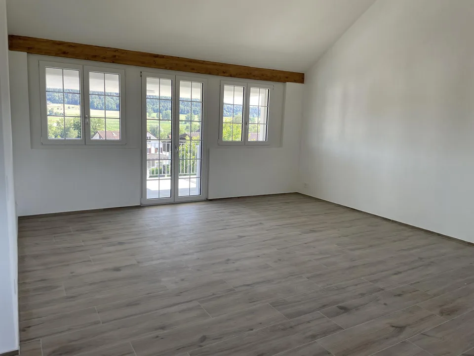 Helle 4.5 Zi. Wohnung in der ehemaligen Uhrenfabrik Wolfwil