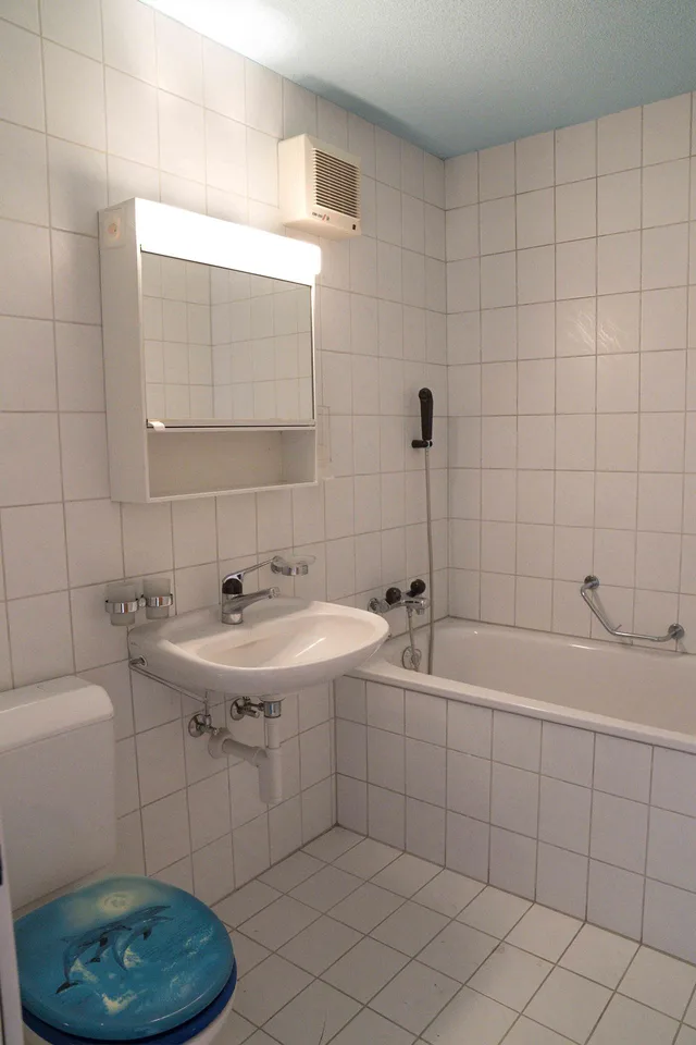 "4.5-Zimmer-Wohnung mit 2 Einstellhallenplätzen in Rüegsauschachen