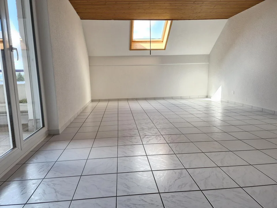 6 Zimmer Attika Wohnung mit Aussicht