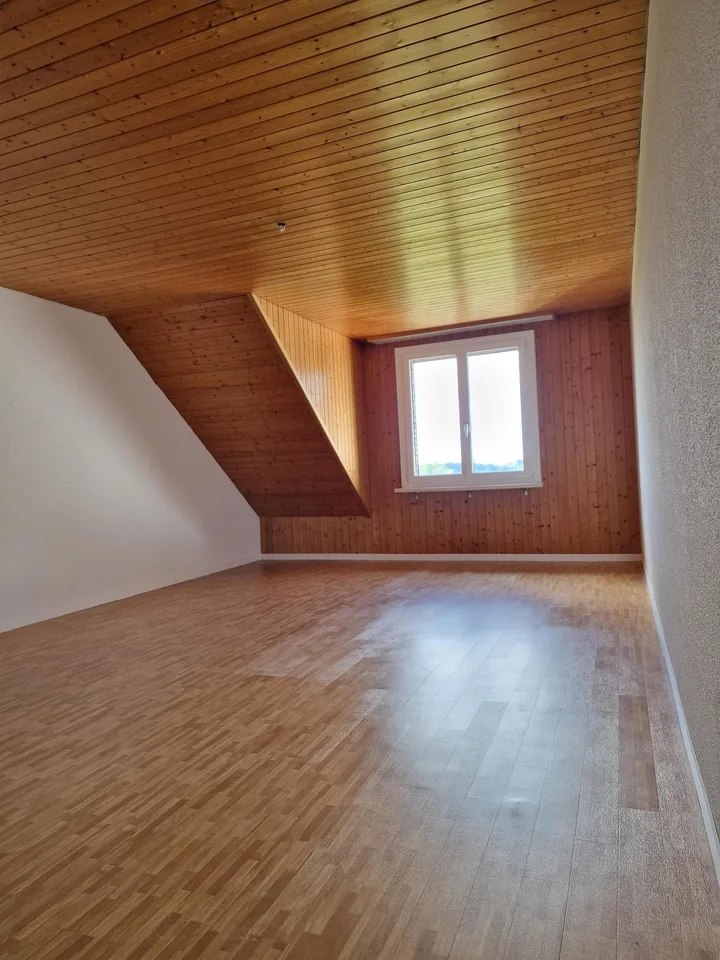 6 Zimmer Attika Wohnung mit Aussicht
